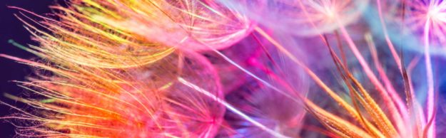 blog-single-link1-img a